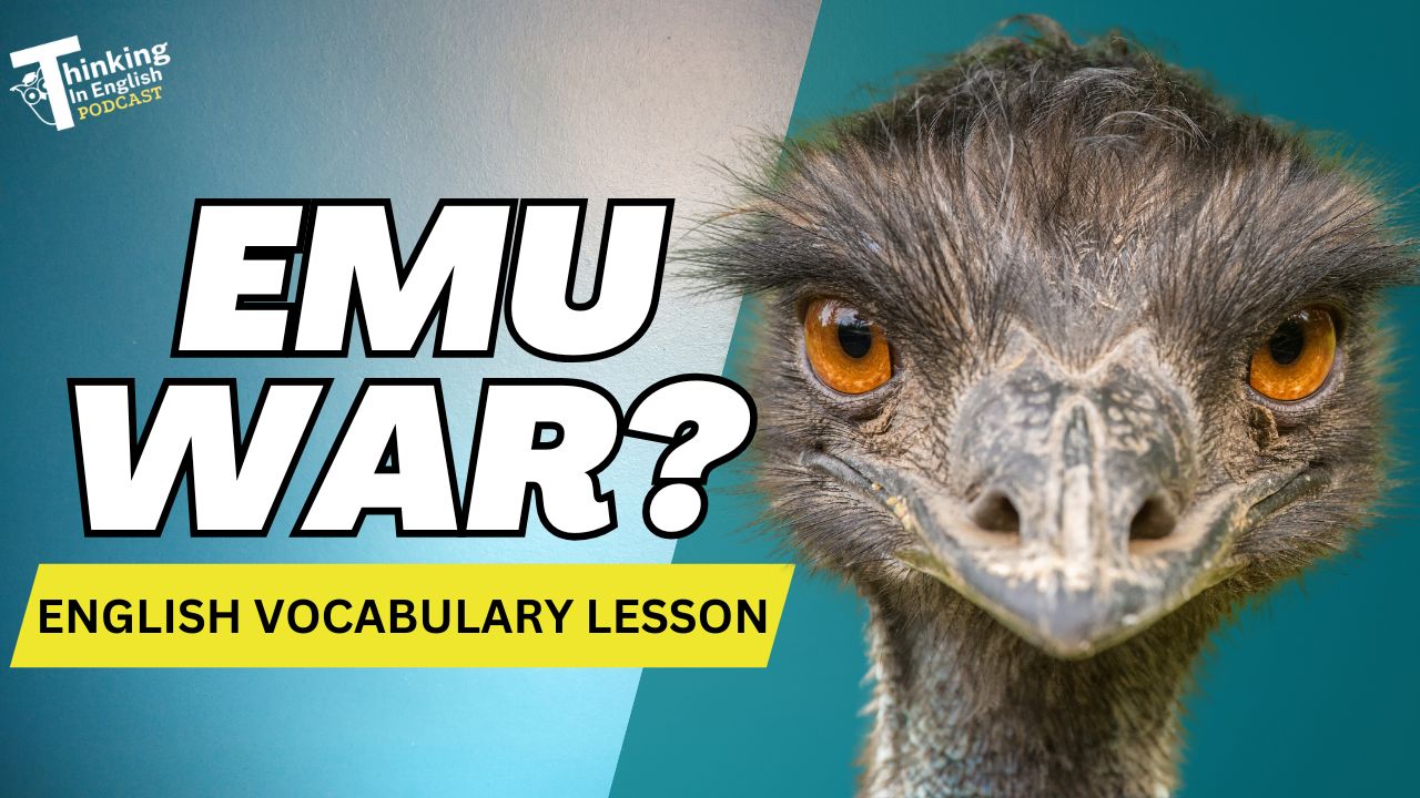 Thinking in English Podcast - Emu War (Bonus Episode)