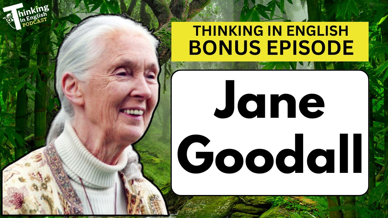 Thinking in English Podcast - Who was Jane Goodall? (Bonus Episode)