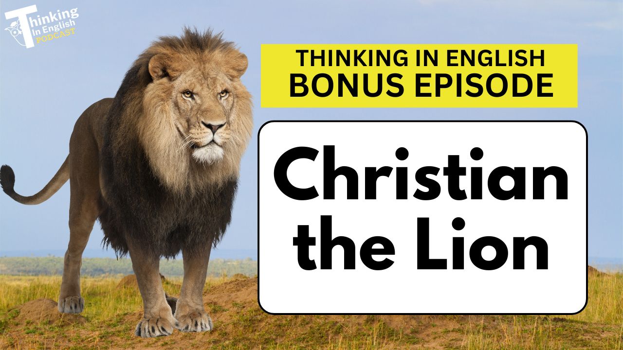Thinking in English Podcast Bonus Episode - The Story of Christian the Lion (Bonus Episode)